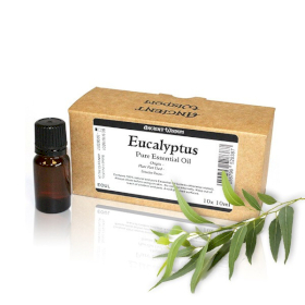 10x 10ml Eucalyptus Essential Oil  Unbranded Label