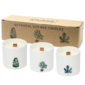 3x Large Botanical Candles - Marsh Viola