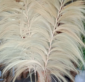 3x Rayung Grass Blond - 2m