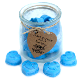 6x Soywax Melts Jar - Dewberry