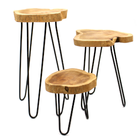 Set of 3 Gamell Wood Plant Stands - Natural