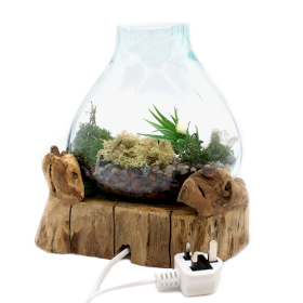 Molten Glass Large Fish Tank 3.7 litre (with light cavity)- 32cm