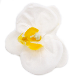25x Craft Soap Flower - Paeonia - White