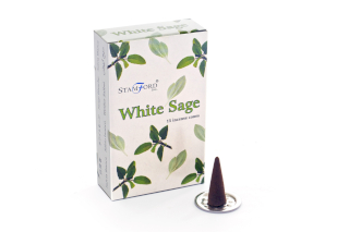 12x White Sage Cones