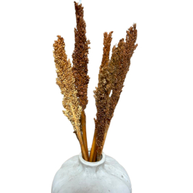 6x Cantal Grass Bunch - Rust