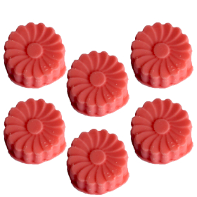 36x Box of Bulk Nat-Wax Melts - Watermelon Fresh
