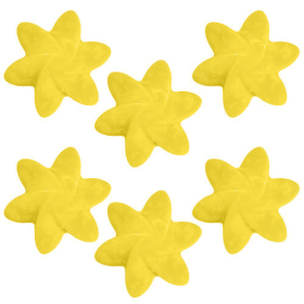 40x Box of Bulk Nat-Wax Melts - Japanese Magnolia