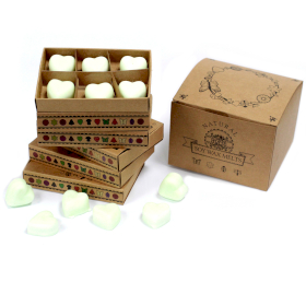 5x Box of 6 packs Wax Melts - Apple Spice
