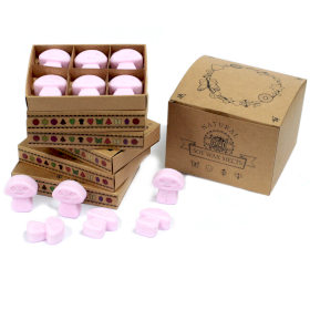 5x Box of 6 packs Wax Melts - Ylang Ylang