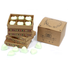 5x Box of 6 packs Wax Melts - Watermelon Fresh