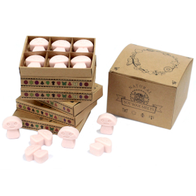 5x Box of 6 packs Wax Melts - Dark Sandalwood