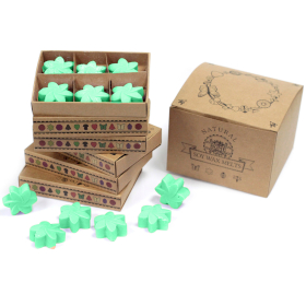 5x Box of 6 packs Wax Melts - Hidden Garden