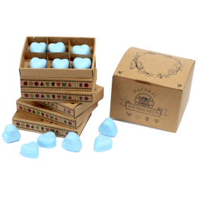 5x Box of 6 packs Wax Melts - Dewberry