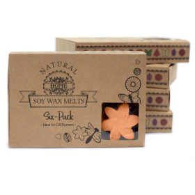 5x Box of 6 packs Wax Melts - Tuberose