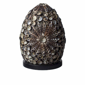 Boho Sea Shell Lamp - Chocolate Twist Oval - 20cm