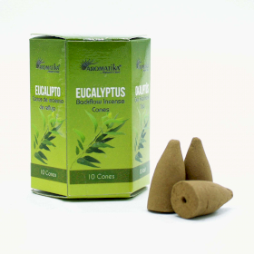 12x Pack of 10 Masala Backflow Incense - Eucalyptus