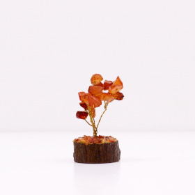 12x Mini Gemstone Trees On Wood Base - Carnelian (15 stones)