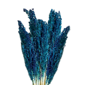 6x Cantal Grass Bunch - Blue