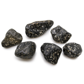 6x Large African Tumble Stones - Guinea Fowl Large