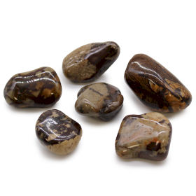 6x Large African Tumble Stones - Jasper Nguni