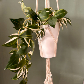 3x Macrame Pot Holder Classic - Natural Med Pot