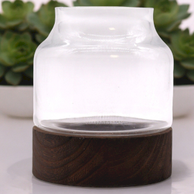 Medium Shaped Terarium on Dark Tung Wood - 16x18cm