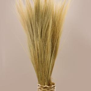 Resale of Rayung Grass