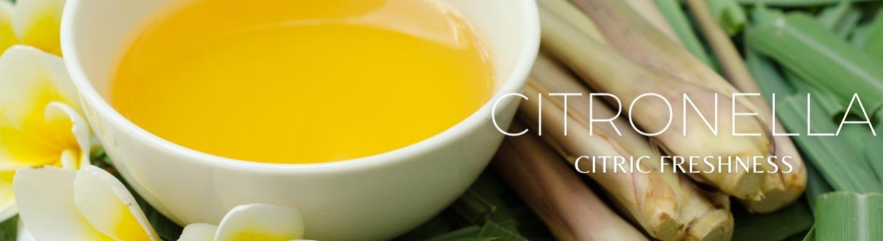 Supplier of Natural Citronella Products