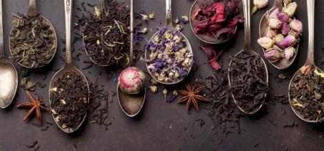 Supplier of Vegan Teas and Infusions