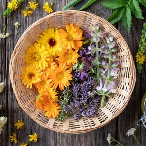 Resale of Essential Oil Blends in 10ml bottles