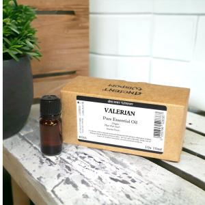 Box of 10 Wholesale Essential Oils