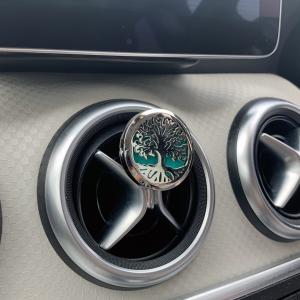 Aromatherapy Car Diffuser Kits for Retail