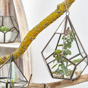 Distributor of Wholesale Glass Terrariums