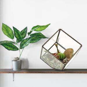 Wholesale Glass and Brass Terrarium
