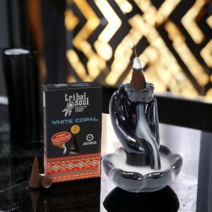 Wholesale Tribal Soul Premium Backflow Incense Cones