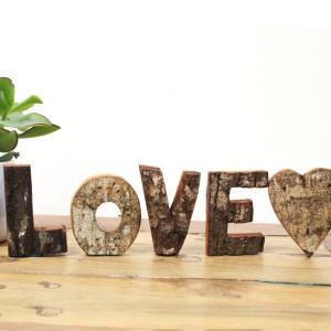 Rustic Bark Letters and Numbers Display