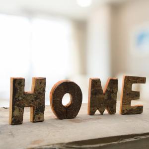 Producer of Rustic Bark Letters and Numbers for Retailers