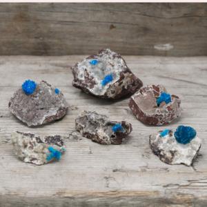 Supplier of Rare Mineral Specimens for Retail