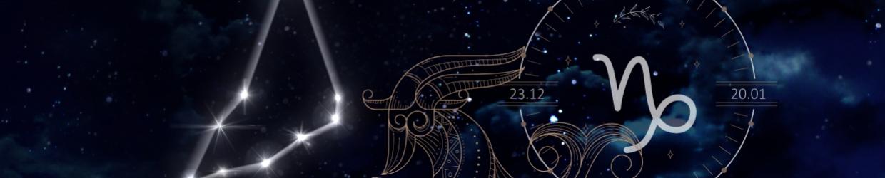 Capricon Zodiac Sign Products for Resale
