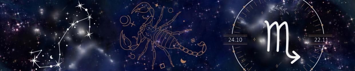 Scorpio Collection of Products for Reasle