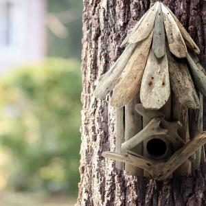 Wholesale Driftwood Birdbox