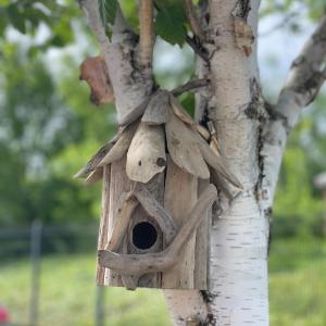 Supplier of Driftwood Birdboxes for Retailers