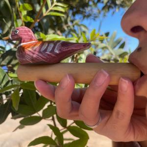 Handmade Wooden Bird Whistles for Retailers