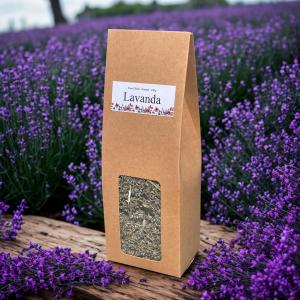 Wholesale Pure Floral Dried Flowers for Retailers