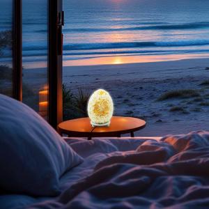Supplier of Boho Shell Lamps for Retail 