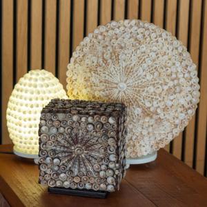Producer of Handmade Boho Shell Lamps for Retail Professionals