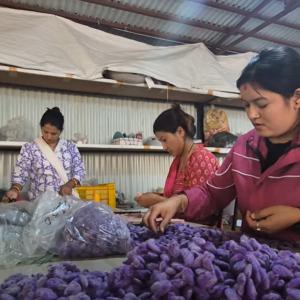 Supply of Products from Nepalese Artisans