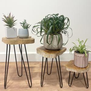 Wholesale Wooden Plant Stand Sets