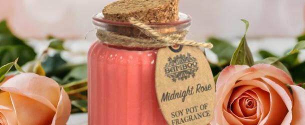 6x Midnight Rose Soy Pot of Fragrance Candles