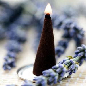 Wholesale Satya Backflow Dhoop Cones
